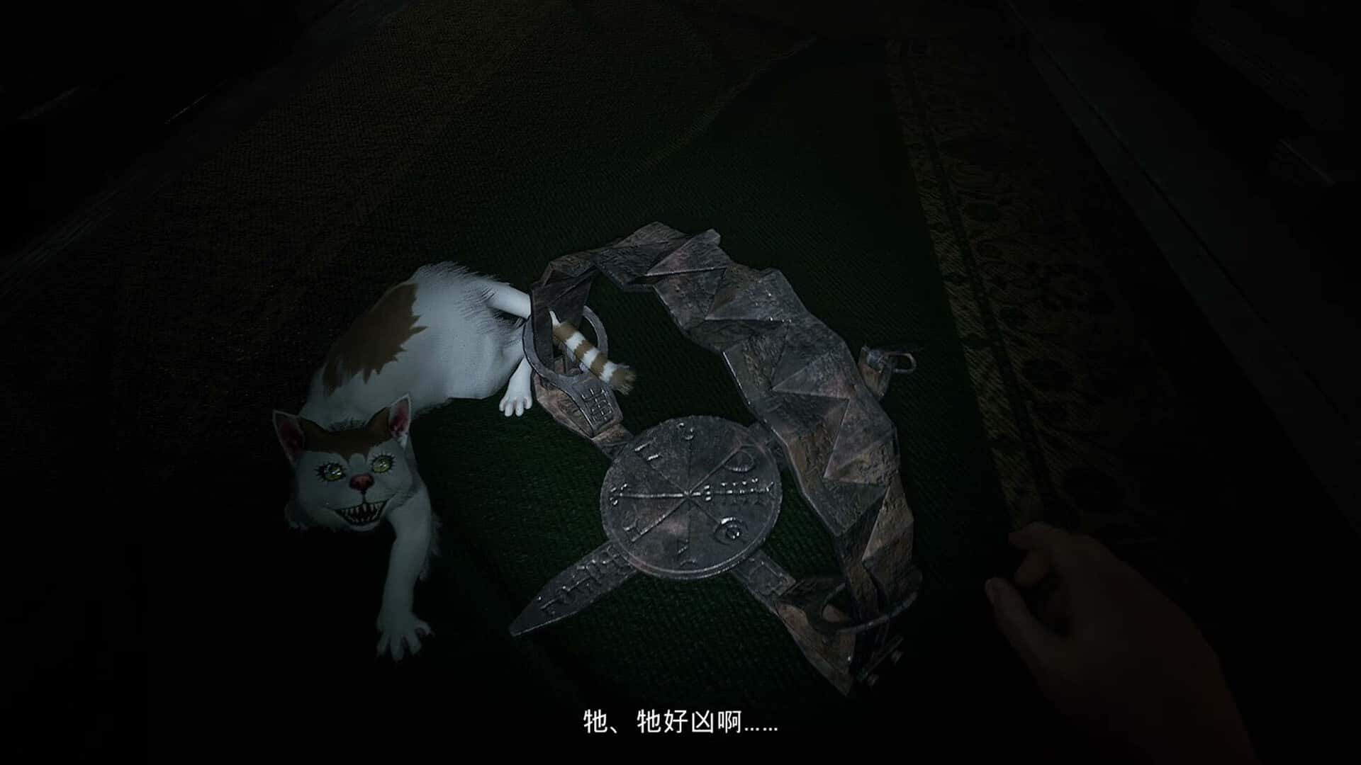 视觉数据3